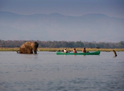 Im Mana Pools Nationalpark werden Kanu- und Fußsafaris angeboten