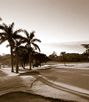 Palmen begrenzen die Fairways des berühmten Selborne Golfplatzes in Kwazulu Natal südlich von Durban.